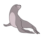  Sea Lion